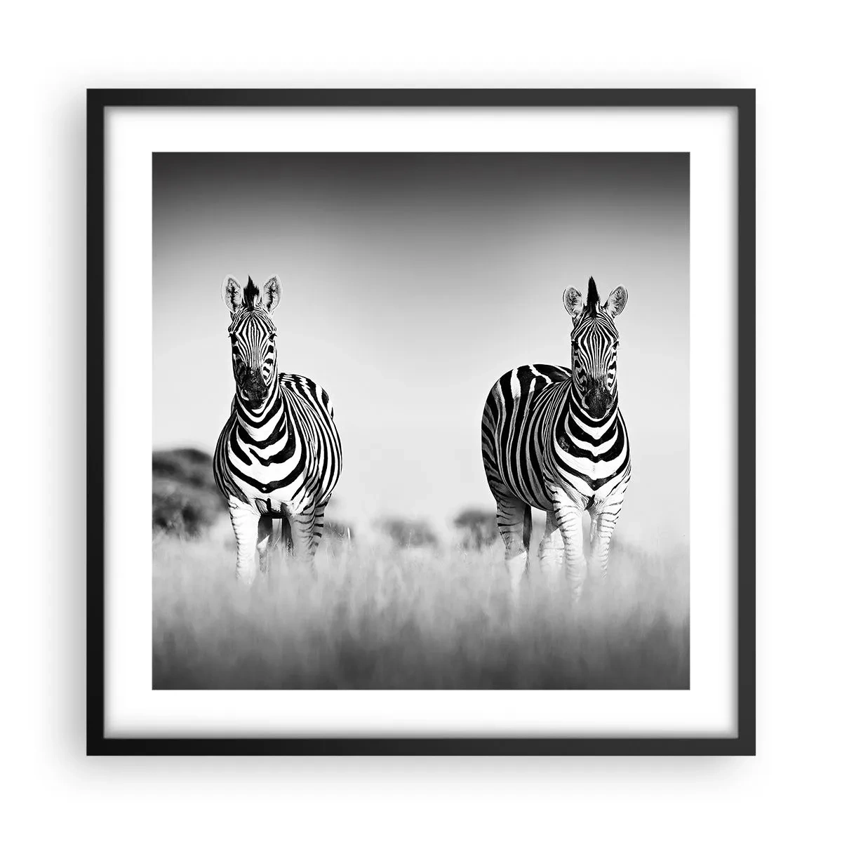 Póster en marco negro - Resulta que el mundo es blanco y negro - 50x50 cm