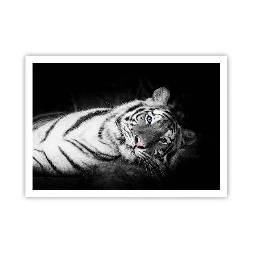 Póster - Un tigre blanco representado artísticamente sobre un fondo negro. - 100x70cm - Salvaje y tranquilo - Decoración de pared moderna para salón y dormitorio ARTTOR