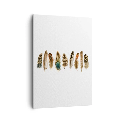 Cuadro sobre lienzo - Impresión de Imagen - Motivo decorativo de una colección de varias plumas. - 50x70cm - Estudio de plumas - Decoración de pared moderna para salón y dormitorio ARTTOR
