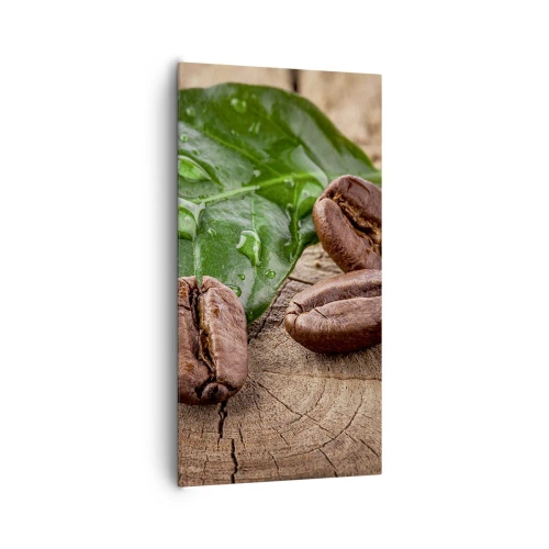 Cuadro sobre lienzo - Impresión de Imagen - El auténtico y negro - 65x120 cm