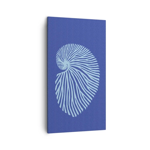 Cuadro sobre lienzo - Impresión de Imagen - Nacimiento de una concha - 45x80 cm