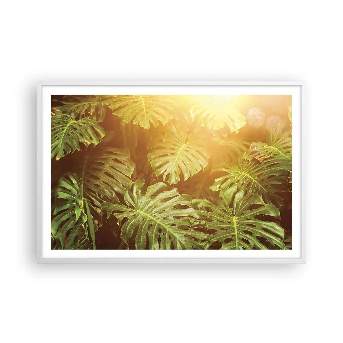 Póster en marco blanco - Hacia el verdor... - 91x61 cm