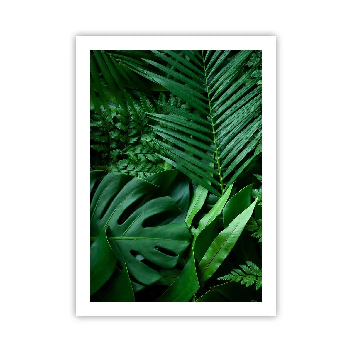 Póster - Las hojas verdes de helechos y palmeras crean un patrón tropical. - 50x70cm - Abrazo verde - Decoración de pared moderna para salón y dormitorio ARTTOR