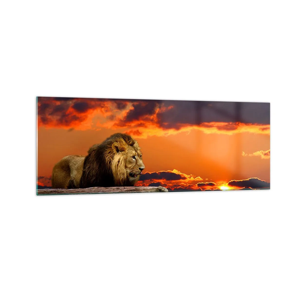 Cuadro sobre vidrio - Impresiones sobre Vidrio - Un león descansa junto al agua al atardecer con un cielo dramático. - 140x50cm - Rey de la naturaleza - Decoración de pared moderna para salón y dormitorio ARTTOR