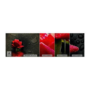 Muestra de fotomural Premium Sand - Rojo y negro - flores, Rosa, Agua - 100x30 cm