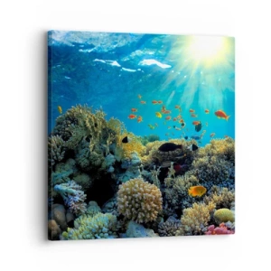 Cuadro sobre lienzo - Impresión de Imagen - Tesoros submarinos - 30x30 cm