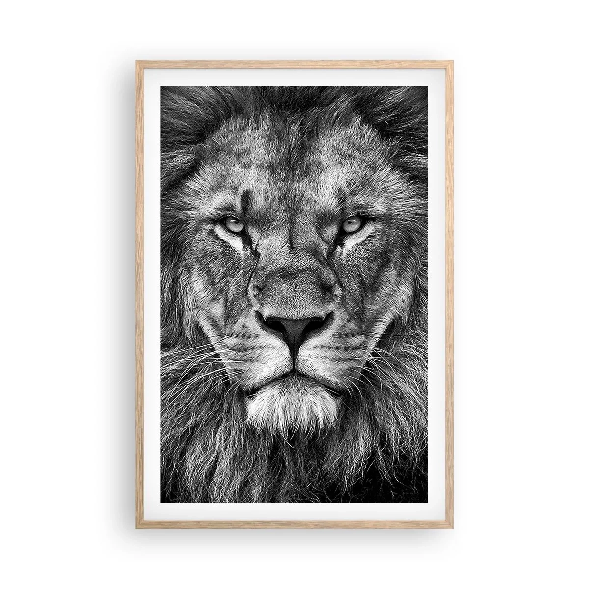 Póster en marco roble claro - Con el atuendo de la coronación - 61x91 cm