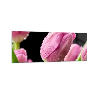 Cuadro sobre vidrio - Impresiones sobre Vidrio - Tulipán rosa con gotas de agua sobre fondo negro - 140x50cm - Un sueño de lilas en el rocío - Decoración de pared moderna para salón y dormitorio ARTTOR