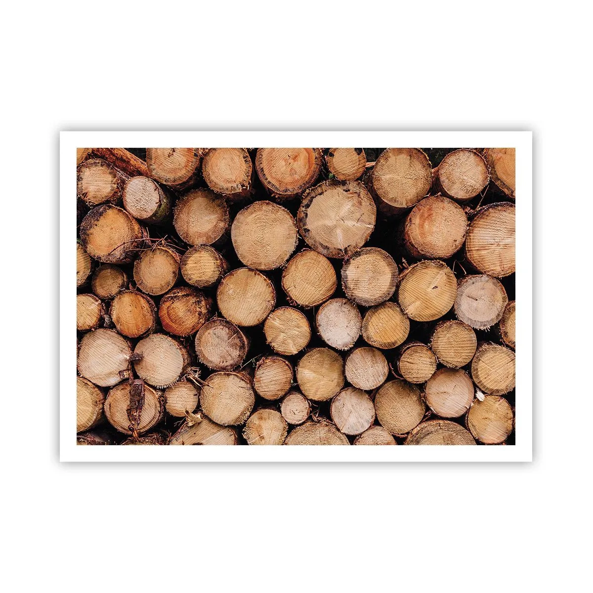 Póster - Montones de troncos de árboles talados dispuestos en armonía - 100x70cm - Un nuevo comienzo - Decoración de pared moderna para salón y dormitorio ARTTOR