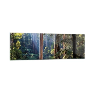 Cuadro sobre vidrio - Impresiones sobre Vidrio - Bosque tropical iluminado por los rayos del sol - 160x50cm - Un cuento de hadas del bosque - Decoración de pared moderna para salón y dormitorio ARTTOR