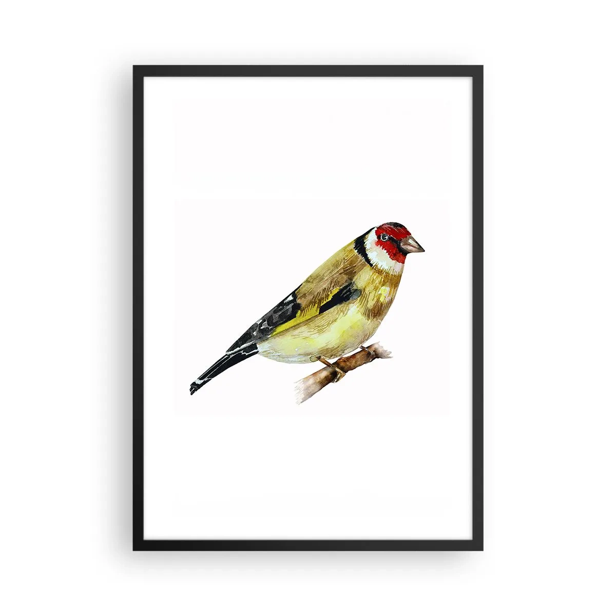 Póster en marco negro - Jilguero en una rama en estilo acuarela - 50x70cm - Retrato de pájaro - Decoración de pared moderna para salón y dormitorio ARTTOR