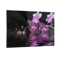 120x80 cm | Horizontal