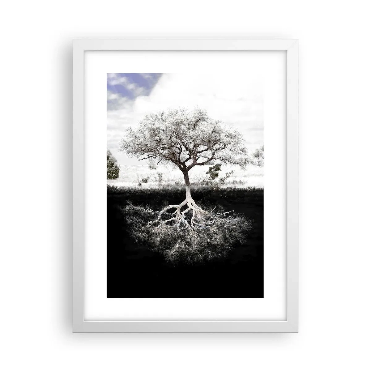 Póster en marco blanco - Descubrir la naturaleza del mundo - 30x40 cm