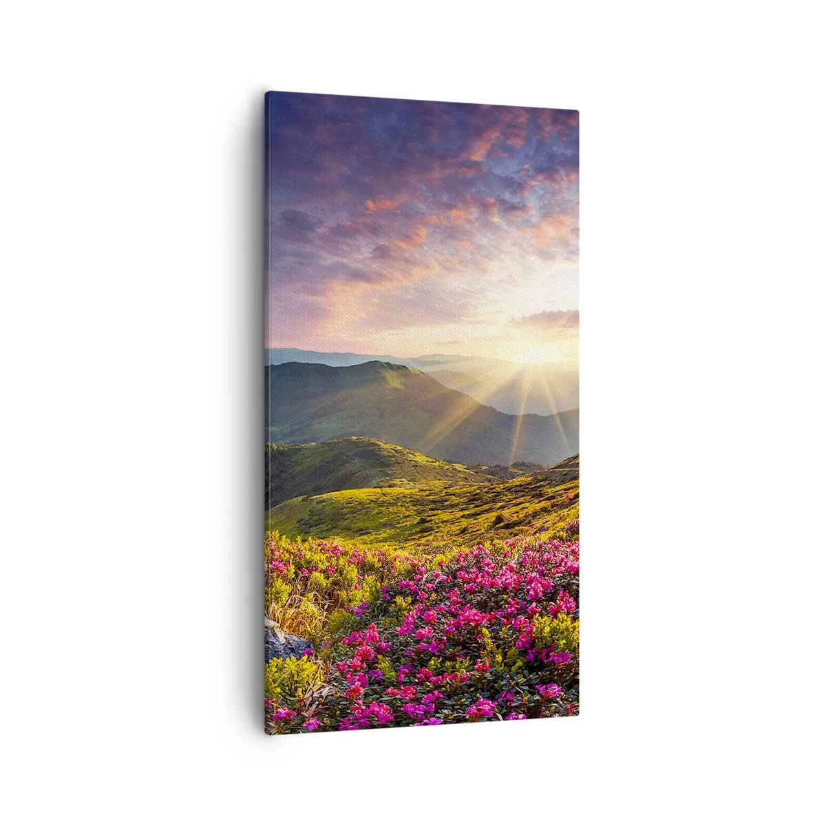 Cuadro sobre lienzo - Impresión de Imagen - La frescura de una mañana de montaña - 55x100 cm