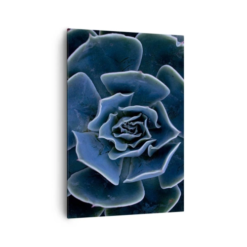 Cuadro sobre lienzo - Impresión de Imagen - Primer plano de una roseta suculenta verde - 70x100cm - Flor del desierto - Decoración de pared moderna para salón y dormitorio ARTTOR