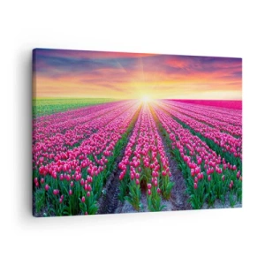 Cuadro sobre lienzo - Impresión de Imagen - Un campo de tulipanes al atardecer - 70x50cm - Granja de belleza - Decoración de pared moderna para salón y dormitorio ARTTOR