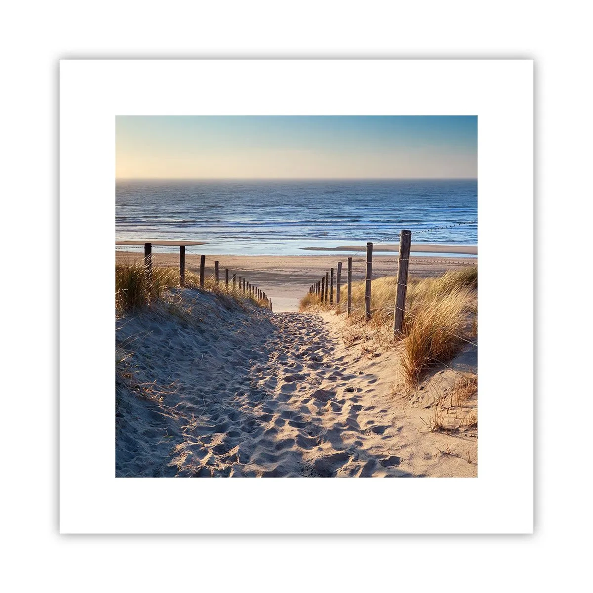 Póster - El sonido del mar, el canto de los pájaros, una playa virgen entre las dunas... - 30x30 cm