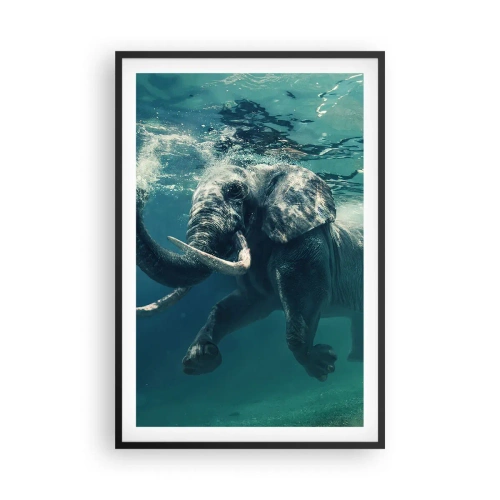 Póster en marco negro - A todos nos gusta nadar - 61x91 cm