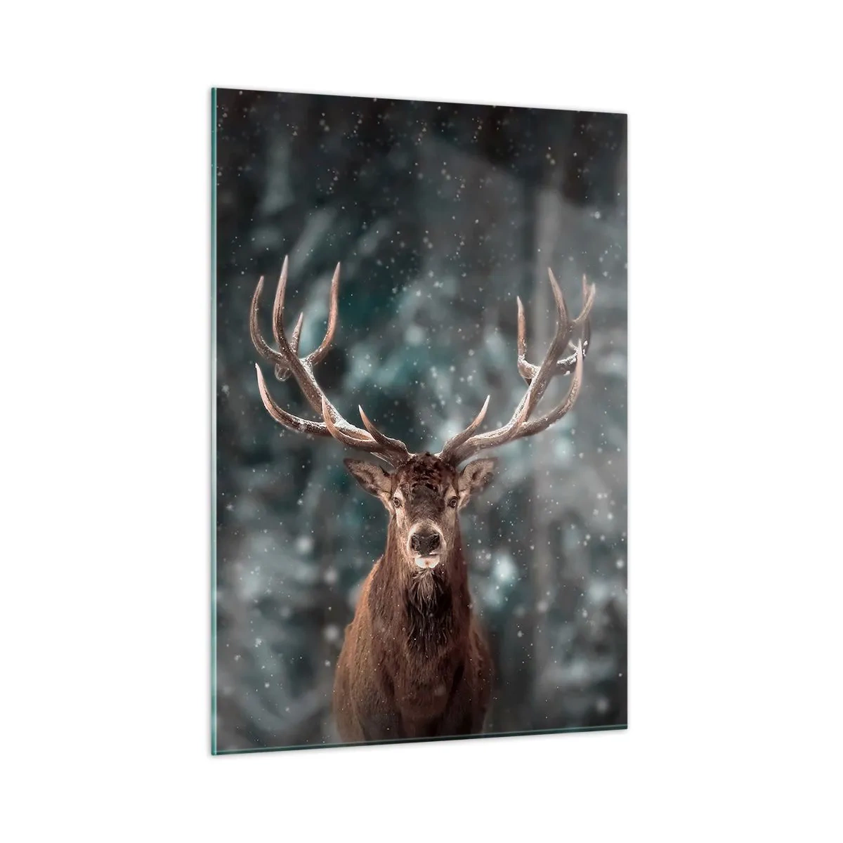 Cuadro sobre vidrio - Impresiones sobre Vidrio - Un ciervo orgulloso en un bosque invernal en medio de la nieve que cae. - 50x70cm - Coronado rey del bosque - Decoración de pared moderna para salón y dormitorio ARTTOR