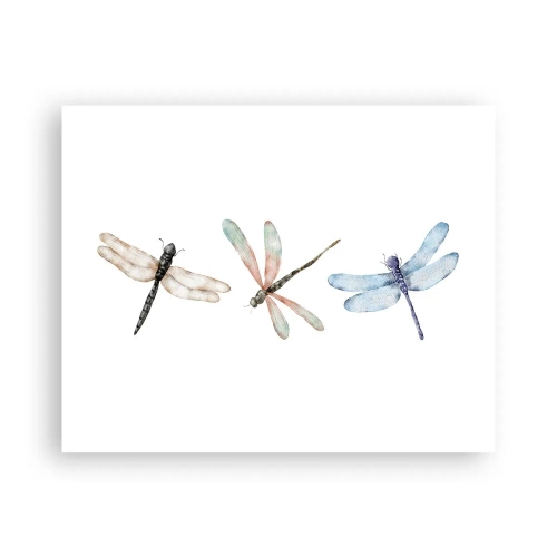 Póster - Libélulas ingrávidas - 50x40 cm