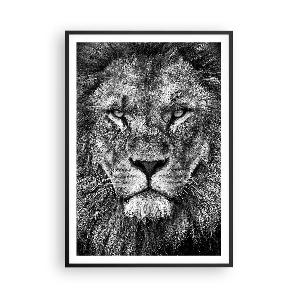 Póster en marco negro - Con el atuendo de la coronación - 70x100 cm