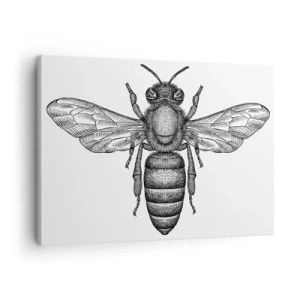 Cuadro sobre lienzo - Impresión de Imagen - Un motivo de abeja de dibujos animados sobre un fondo blanco en un estilo minimalista. - 70x50cm - Retrato de insecto - Decoración de pared moderna para salón y dormitorio ARTTOR