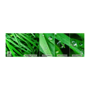 Muestra de fotomural Premium Sand - Jugar al verde - Naturaleza, Césped verde, Jardín - 100x30 cm