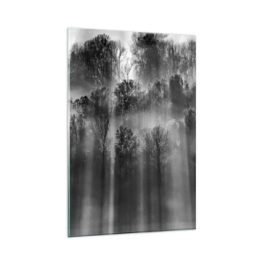 Cuadro sobre vidrio - Impresiones sobre Vidrio - Bosque blanco y negro a la luz de la mañana. - 80x120cm - En los flujos de luz - Decoración de pared moderna para salón y dormitorio ARTTOR