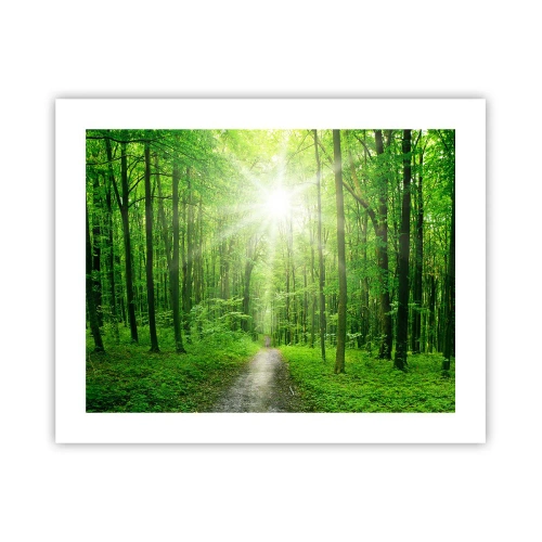 Póster - Catedral verde - 50x40 cm