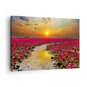 Cuadro sobre lienzo - Impresión de Imagen - Un campo de nenúfares rosados al atardecer. - 70x50cm - La vida secreta del lago - Decoración de pared moderna para salón y dormitorio ARTTOR