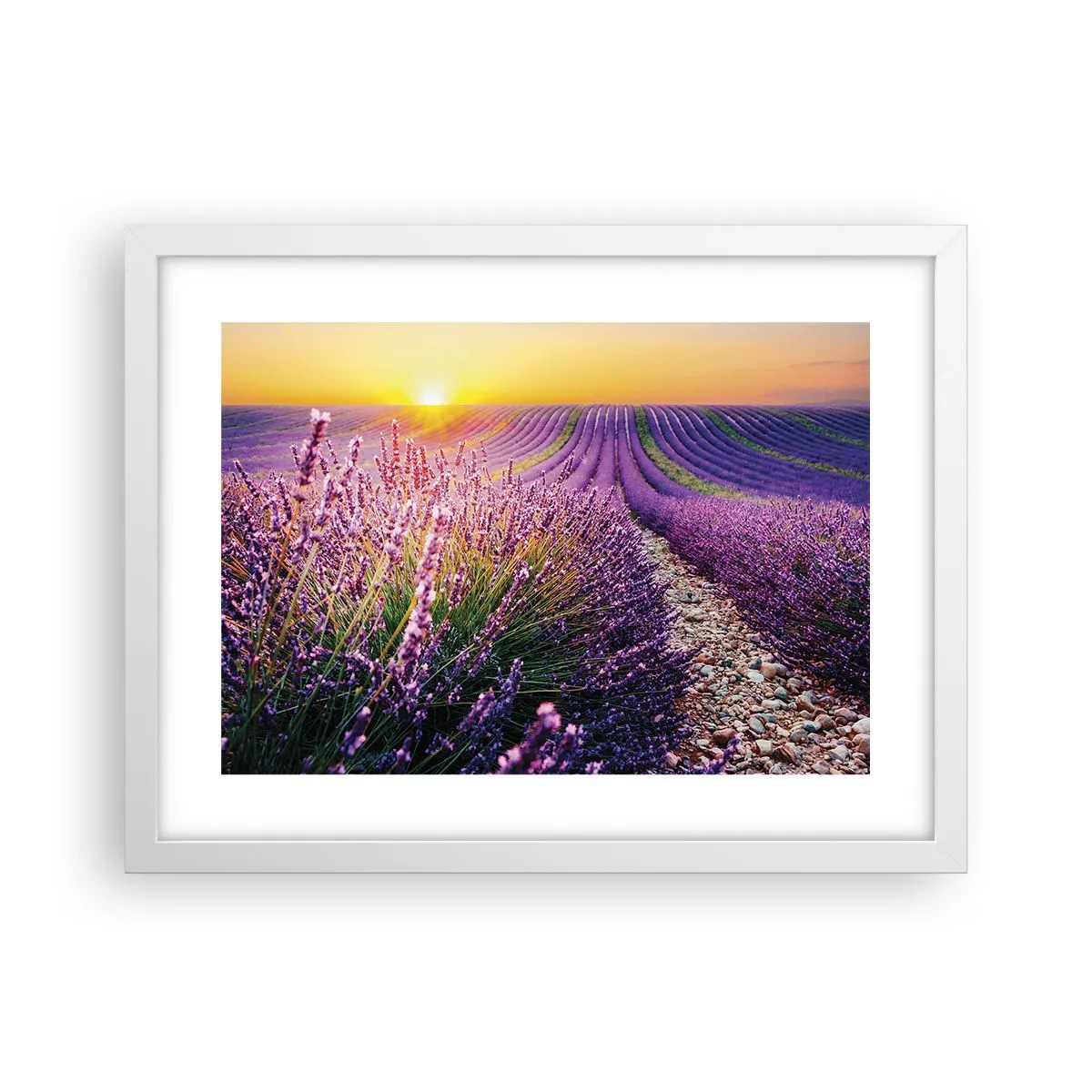 Póster en marco blanco - Pradera fragante - 40x30 cm