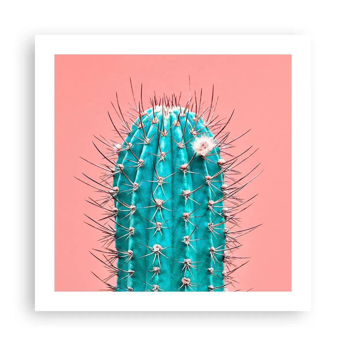 Póster - Se mira, pero no se toca - 50x50 cm