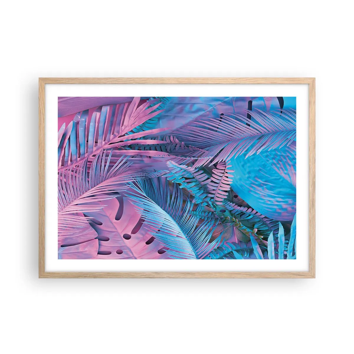 Póster en marco roble claro - Trópicos en rosa y azul - 70x50 cm