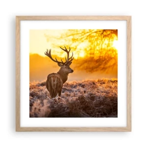 Póster en marco roble claro - Rey del bosque de otoño - 40x40 cm