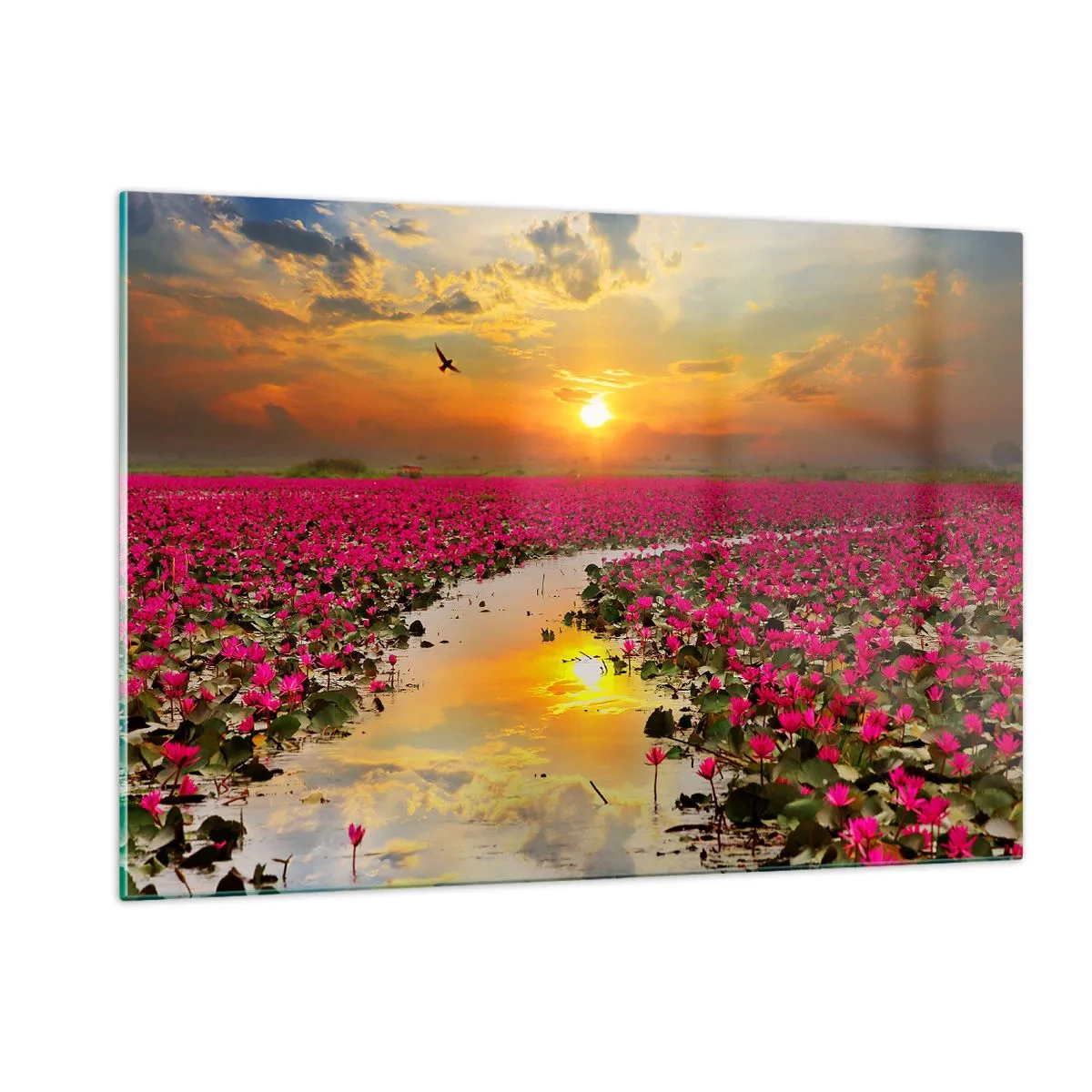 Cuadro sobre vidrio - Impresiones sobre Vidrio - Nenúfares rosados en un lago al atardecer - 120x80cm - La vida secreta del lago - Decoración de pared moderna para salón y dormitorio ARTTOR