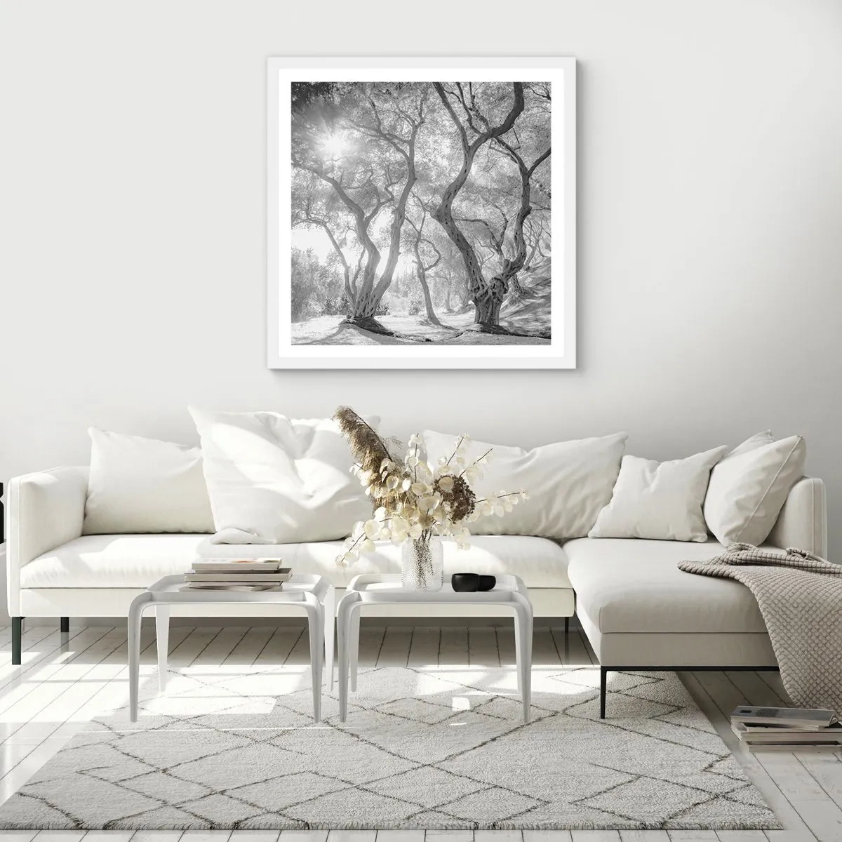 Póster en marco blanco - En un olivar - 30x30 cm