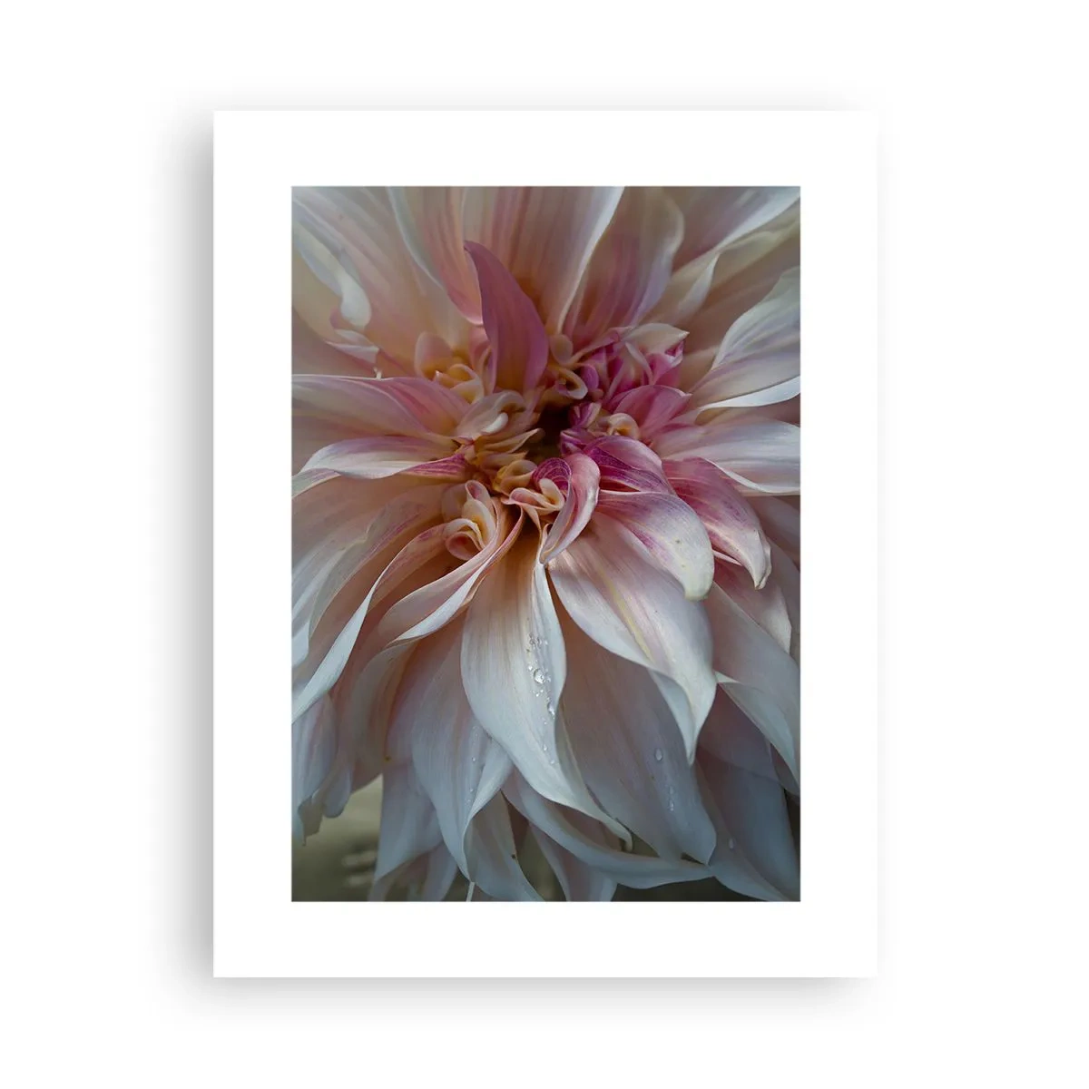 Póster - Frescura floreciente - 30x40 cm
