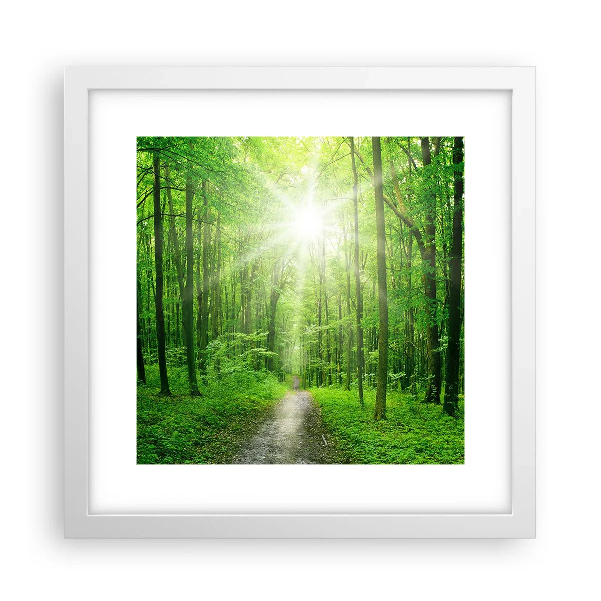 Póster en marco blanco - Catedral verde - 30x30 cm