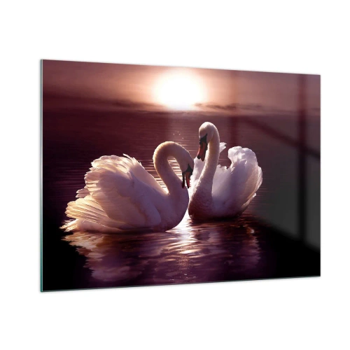 Cuadro sobre vidrio - Impresiones sobre Vidrio - Dos cisnes en el agua a la luz del sol poniente. - 100x70cm - Hasta que la muerte nos separe - Decoración de pared moderna para salón y dormitorio ARTTOR