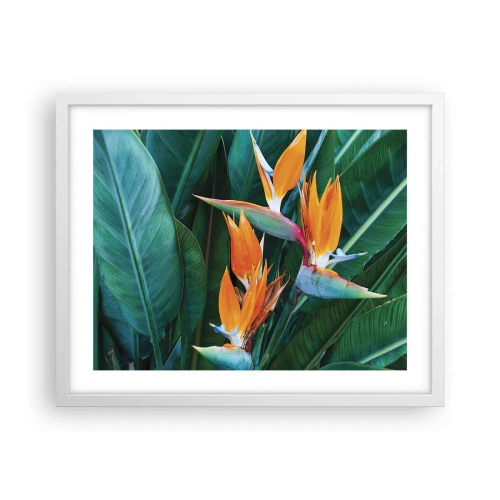 Póster en marco blanco - ¿Es una flor o es un pájaro? - 50x40 cm