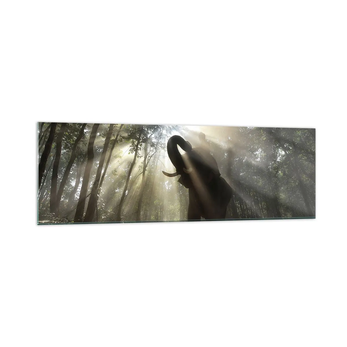 Cuadro sobre vidrio - Impresiones sobre Vidrio - Un elefante en el bosque rodeado de rayos de luz en la niebla de la mañana. - 160x50cm - Bajo una estrella de la suerte - Decoración de pared moderna para salón y dormitorio ARTTOR