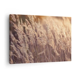 Cuadro sobre lienzo - Impresión de Imagen - Hierbas doradas con el sol poniente como telón de fondo - 70x50cm - Listos para dar la bienvenida al otoño - Decoración de pared moderna para salón y dormitorio ARTTOR