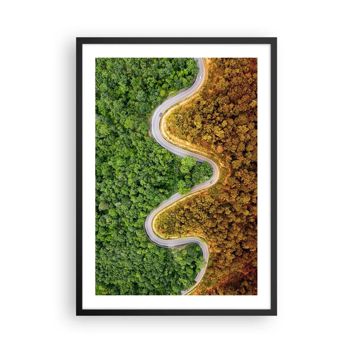 Póster en marco negro - Un camino que serpentea a través de un bosque dividido en partes verdes y otoñales. - 50x70cm - Frontera serpenteante - Decoración de pared moderna para salón y dormitorio ARTTOR
