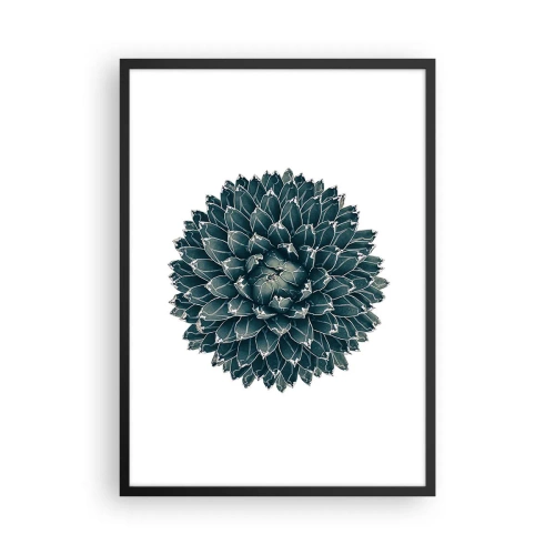 Póster en marco negro - Detalle de una suculenta con disposición simétrica de hojas. - 50x70cm - Estrella del desierto - Decoración de pared moderna para salón y dormitorio ARTTOR