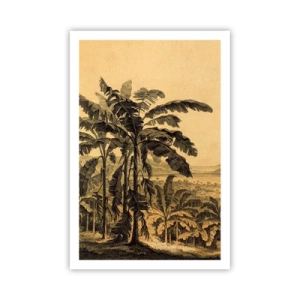 Póster - En un ambiente colonial - 61x91 cm