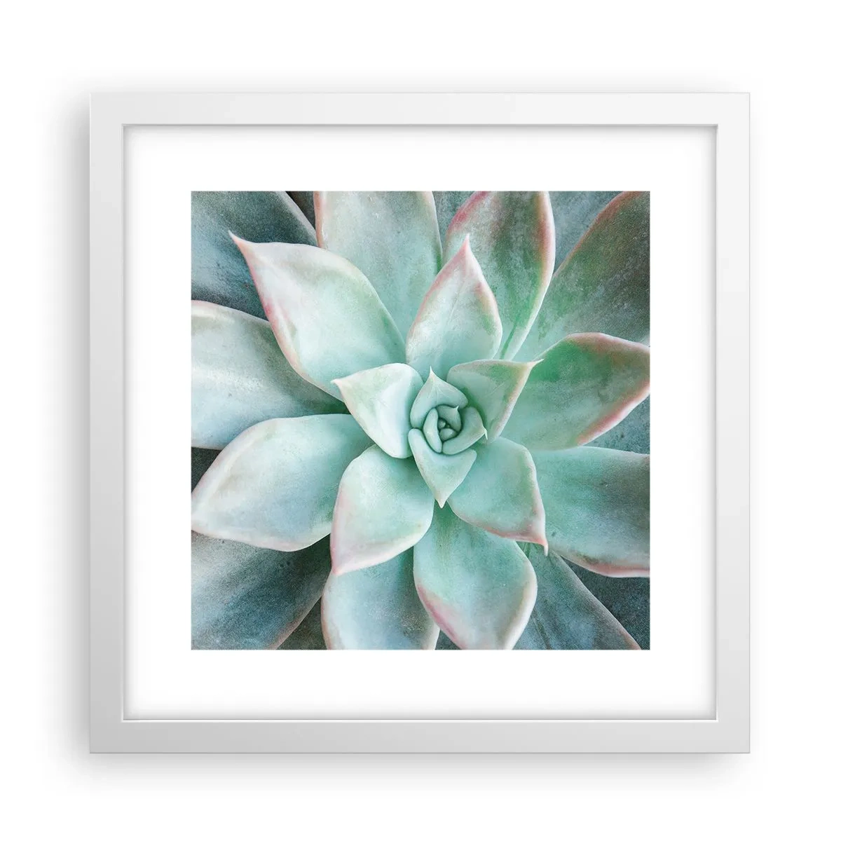 Póster en marco blanco - El corazón del desierto - 30x30 cm