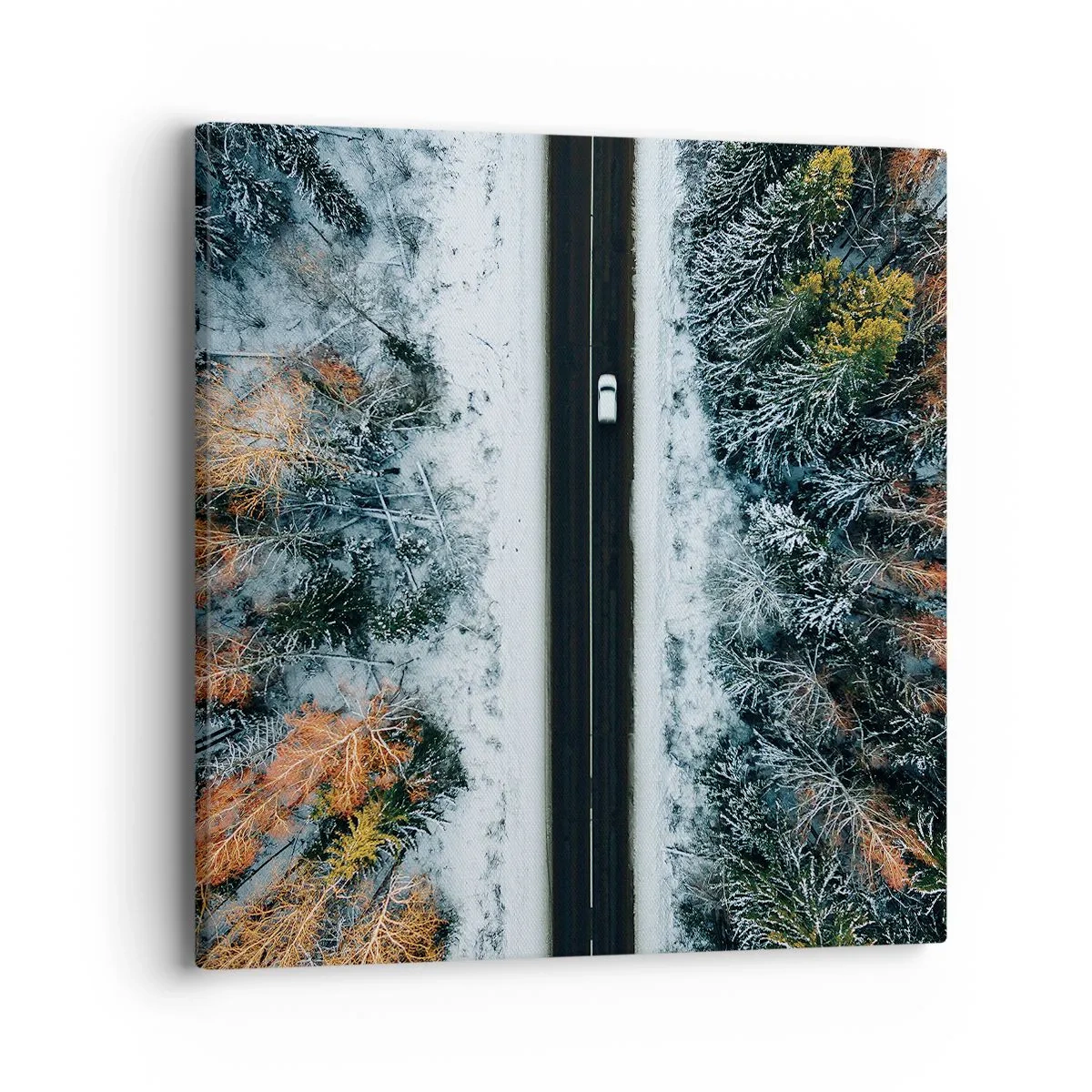 Cuadro sobre lienzo - Impresión de Imagen - Atravesar el bosque en invierno - 40x40 cm