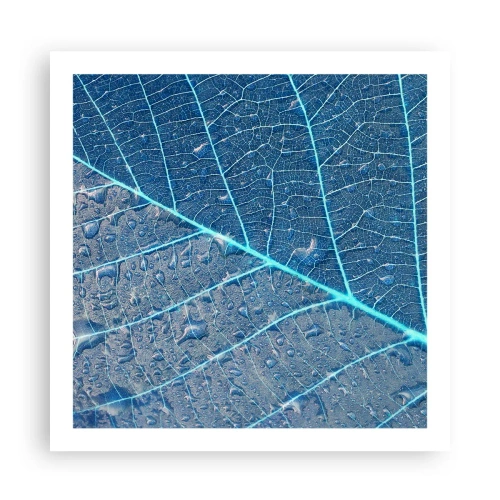 Póster - Vida en el azul - 60x60 cm