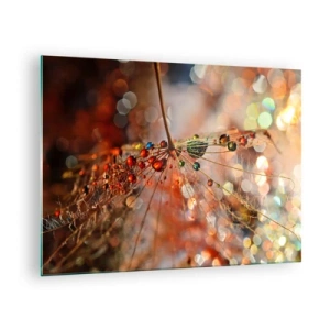 Cuadro sobre vidrio - Impresiones sobre Vidrio - Gotas de agua sobre una delicada telaraña con luz bokeh - 70x50cm - En una tela de araña - Decoración de pared moderna para salón y dormitorio ARTTOR