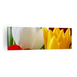 Cuadro sobre lienzo - Impresión de Imagen - Primer plano de tulipanes coloridos sobre un fondo primaveral - 160x50cm - Fiebre del tulipán - Decoración de pared moderna para salón y dormitorio ARTTOR